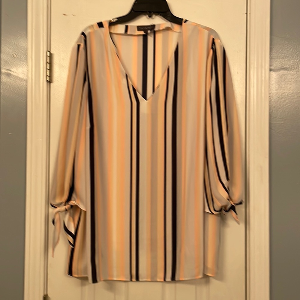 The Limited Multicolor Striped Blouse